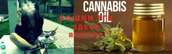 mdpv Вяземский