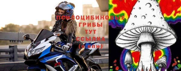 mdpv Вяземский