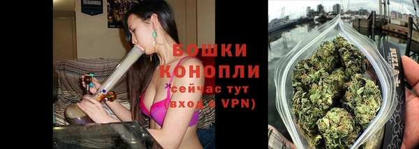 mdpv Вяземский