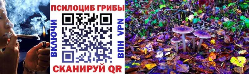 Псилоцибиновые грибы MAGIC MUSHROOMS  Уфа 